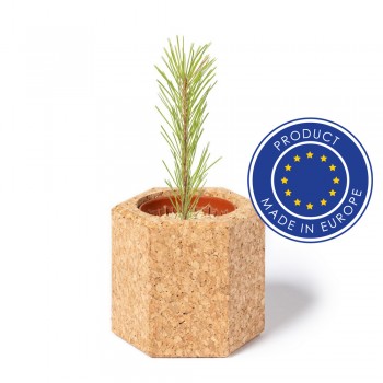 Cork pot with pine seeds (made in Europe) AIV0915-00