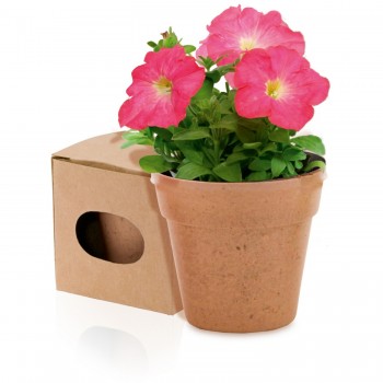 Flower pot, 5-8 petunia seeds and soil AIV8530-00