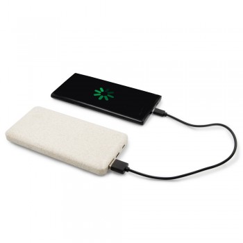 Kviešu salmu Ārējais lādētājs (Power Bank) 8000 mAh | Jenkins AIV0725-00
