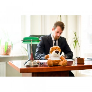 Sitting lion with T-shirt suitable for printing (T-shirt packed separately) AIHE669-16K