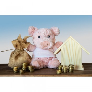 Plush piggy | Tailyssia