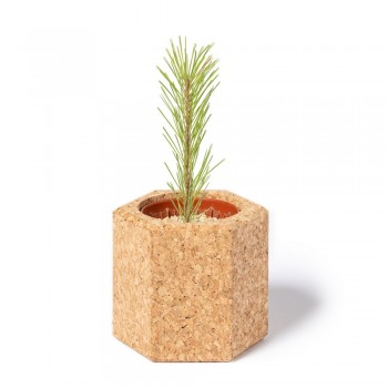 Cork pot, pine seeds Cork pot with pine seeds (made in Europe) AIV0915-00