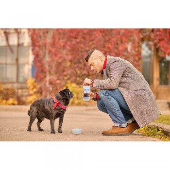 Travel set for dog, bowls for dog Travel set for dog, bowls for dog