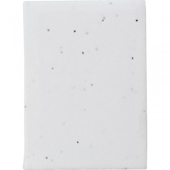 Memo holder, sticky notes