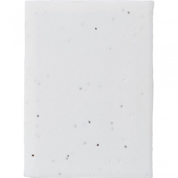 Memo holder, sticky notes