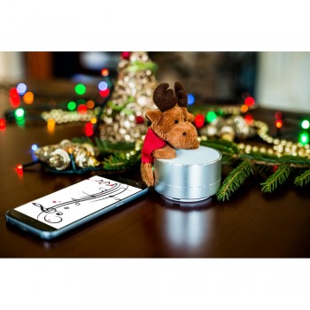 Wireless speaker, radio | Silas