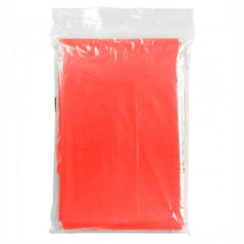 Poncho with hood Foldable translucent poncho in polybag AIV4314-05