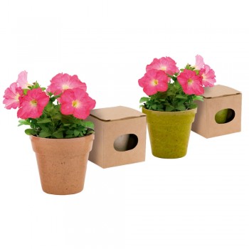 Flower pot, 5-8 petunia seeds and soil Flower pot, 5-8 petunia seeds and soil AIV8530-00