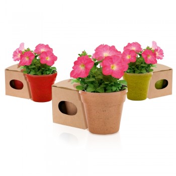 Flower pot, 5-8 petunia seeds and soil Flower pot, 5-8 petunia seeds and soil AIV8530-00