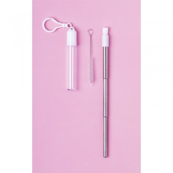 Extendable stainless steel drinking straw with silicone mouthpiece, reusable, cleaner and case with carabiner clip included AIV8809-02