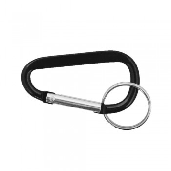 Keyring, carabiner