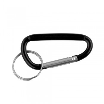 Keyring, carabiner