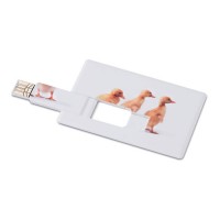 MEMORAMA credit card USB flash drive 16 GB