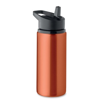 SPOT single wall bottle with straw 500 ml