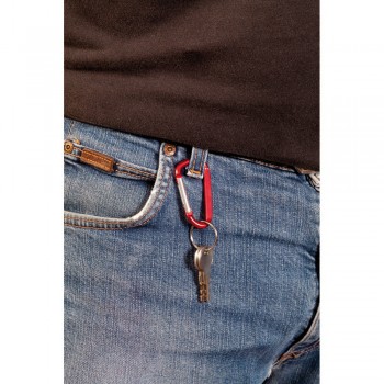 Keyring, carabiner