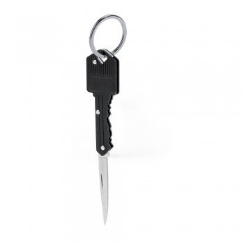 Keyring, pocket knife