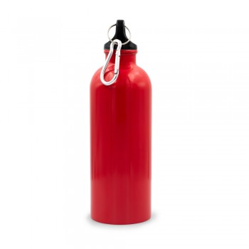 Sports bottle 500 ml with carabiner clip | Brenda