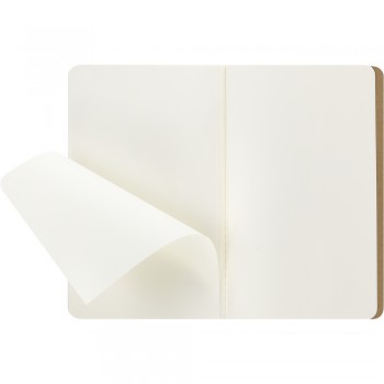 MOLESKINE Cahier Journal approx. A5