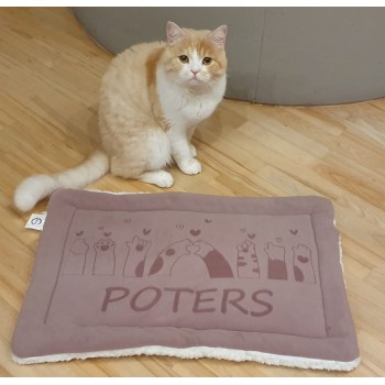 Personalised Cat Bed Cushion, Add Pet Name, Size 60x40 CM (Beige)