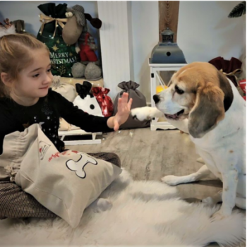 Maisiņš kā lins 35 x 50 cm ar apdruku