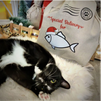 Bag like linen 35 x 50 cm with print Bag like linen 35 x 50 cm with print