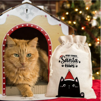 Maisiņš kā lins 26 x 35 cm ar apdruku