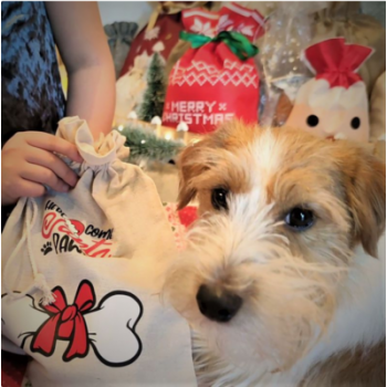 Maisiņš kā lins 26 x 35 cm ar apdruku