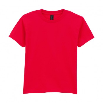 Softstyle Midweight Youth T-Shirt