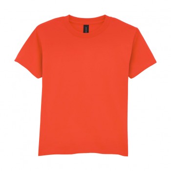 Softstyle Midweight Youth T-Shirt