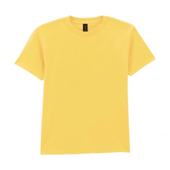 Softstyle Midweight Youth T-Shirt
