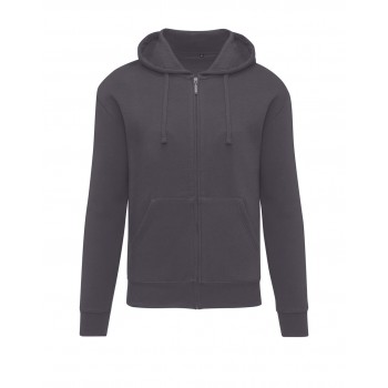 Originals Vīriešu hūdijs ar kapuci un rāvējslēdzēju