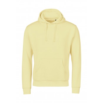 Vīriešu džemperis ar kapuci